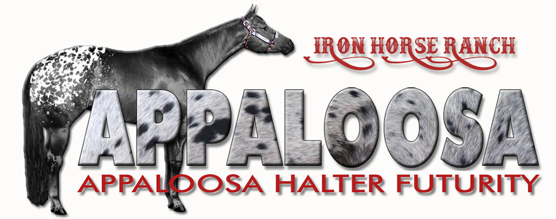 The Appaloosa Halter Futurity